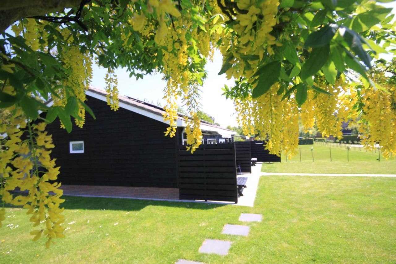 B&B Beach&Bos Oostvoorne Extérieur photo